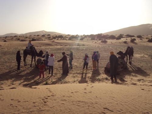 Night Desert Camp