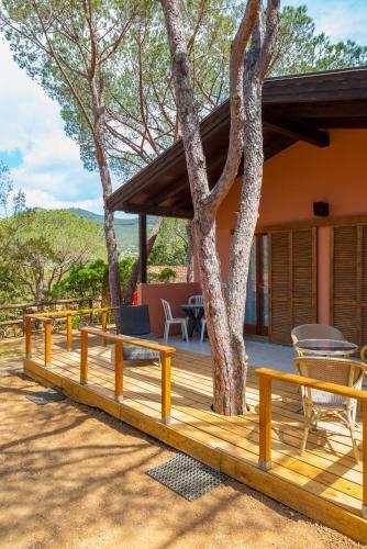 Camping Lacona Pineta