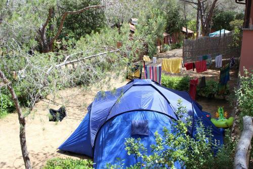 Camping Lacona Pineta