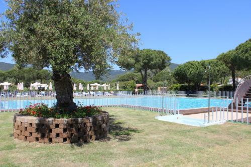 Camping Lacona Pineta
