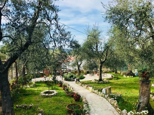 Bed & Breakfast Casale Degli Angeli
