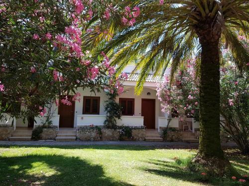 Hotel Gabbiano Beach