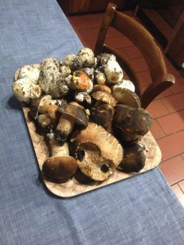 Apartamento Giardino Di Potentino