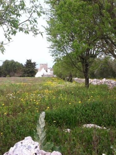 Villa Il Giardino Di Polinisso