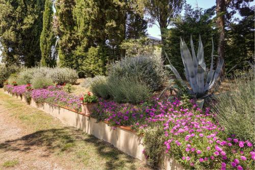 Villa Agriturismo Podere Giuncarelli