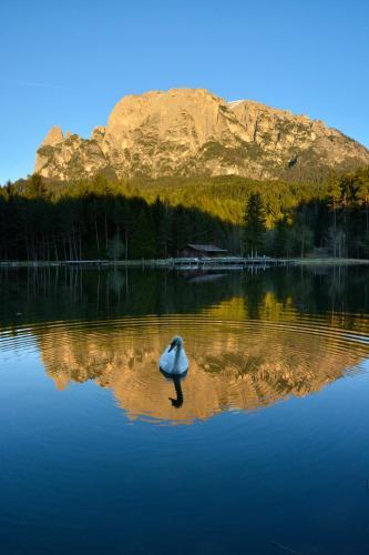 Vitalpina Wanderhotel Europa