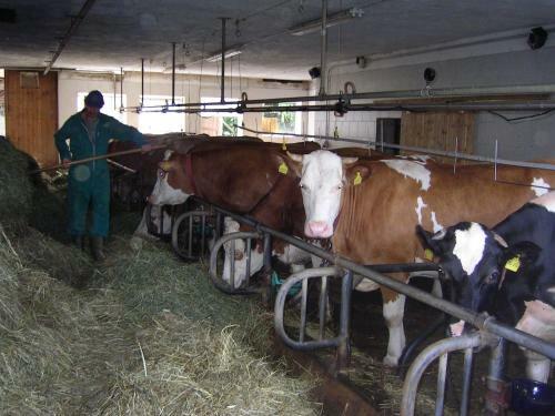 Agroturismo Mair Am Hof
