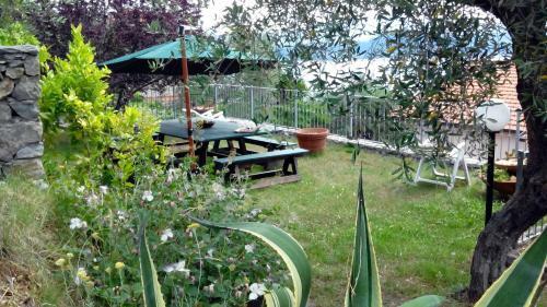 Villa Il Pettirosso