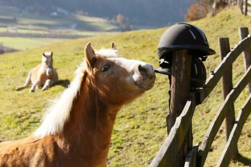 Agroturismo Zingerlehof Trens