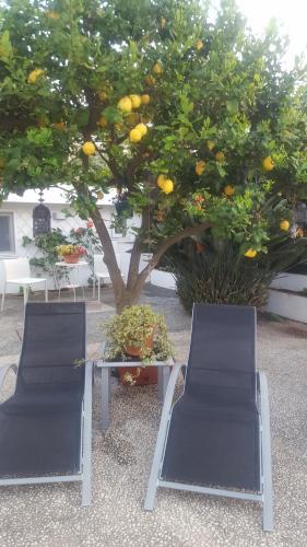 Bed & Breakfast Acquaviva 31
