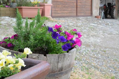 Hostal Zimmervermietung Gr�berhof