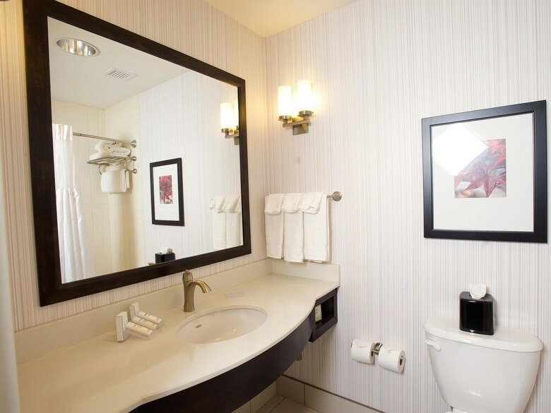 Hotel Holiday Inn Buffalo Downtown