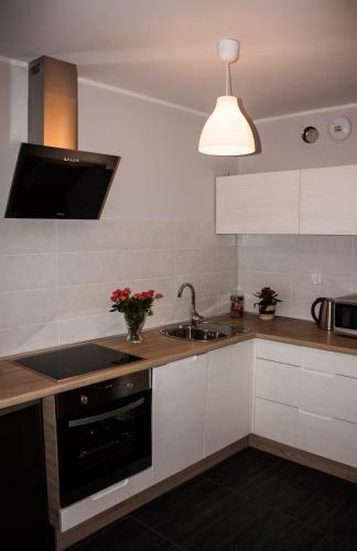 Apartamento Studio Pionier