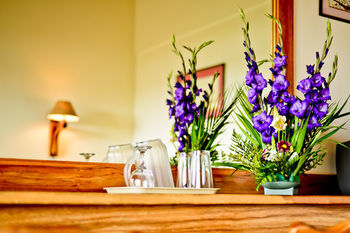 Hotel Monta�a Monteverde