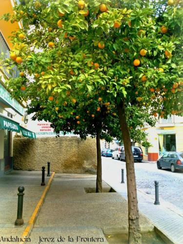 Hotel Al Andalus Jerez