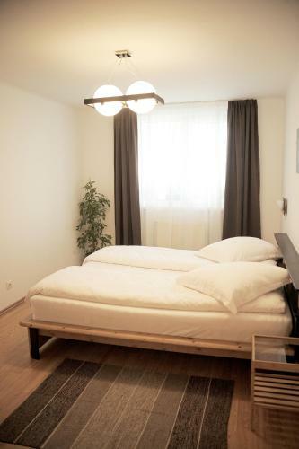 Apartament Waldo 2