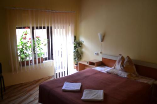 Hostal Villa Milcov