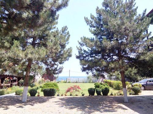 Hostal Pensiunea Sapte Pini