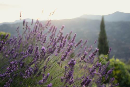 Apartamento Terre Bianche Agriturismo