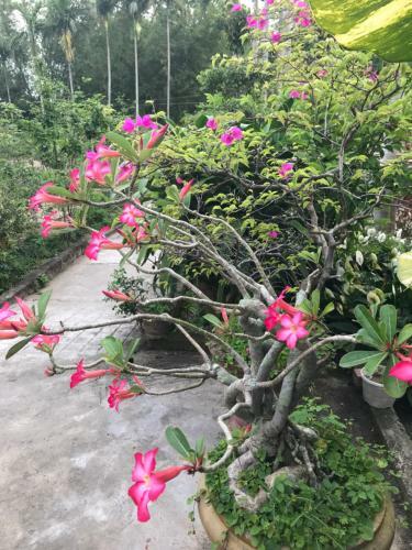 Family Homestay