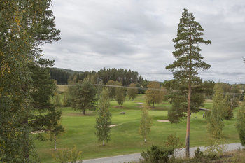 Bed & Breakfast Norrfly Herrg�rd Ab