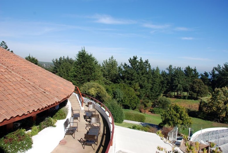 Hotel Marbella Resort