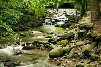 Hotel Brookside Resort By Fairbridge