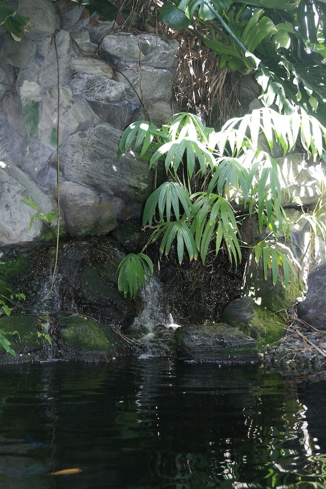 Bed & Breakfast Heron House - Adult Only