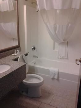 Hotel Toledo Bridgepointe Inn & Suites