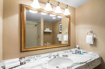 Omni Mandalay Hotel At Las Colinas
