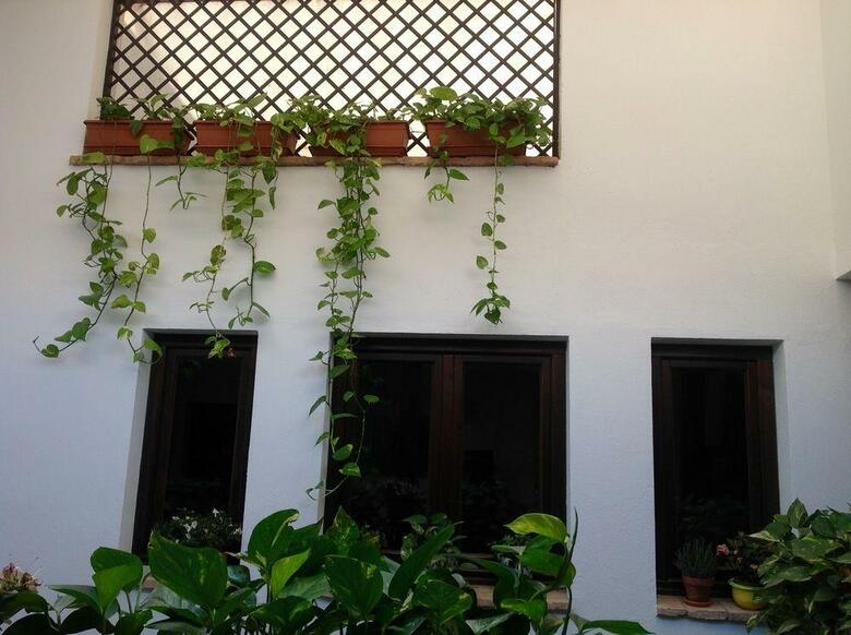 Hostal Hospeder�a Alma Andalus�