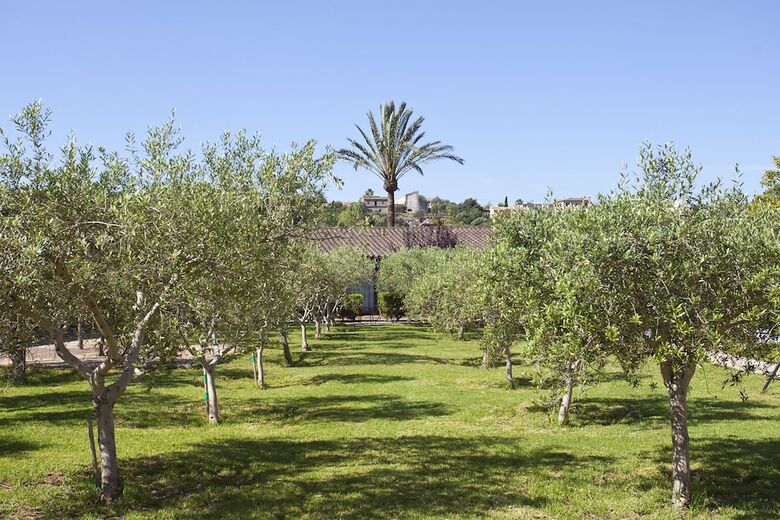 Hotel S'hort De Son Caulelles - Adults Only