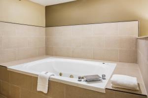 Hotel Comfort Inn & Suites