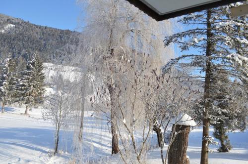 Residencia Chalet Kammleitn