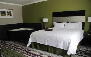 Hotel Hampton Inn Leesville/ft. Polk. La
