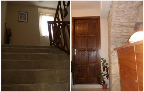 Residencia Carolrooms
