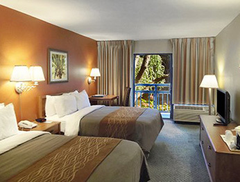 Hotel Comfort Inn - South Forest Beach