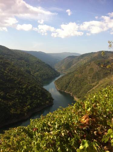 Hostal Pension Rustica-caldelas Sacra
