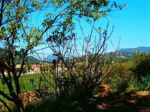 Jadis Et Le Jardin D'hesp�rides