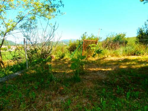 Jadis Et Le Jardin D'hesp�rides