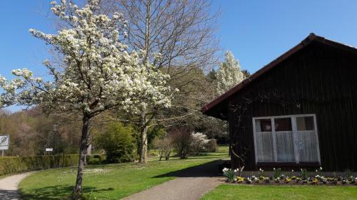 Hotel Gastehaus St. Theresia