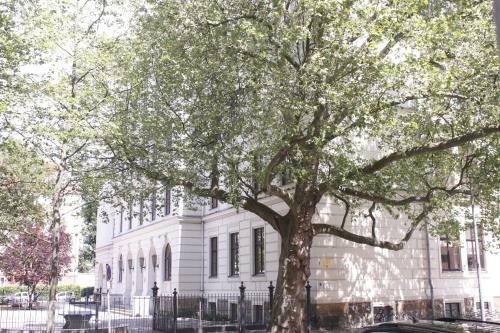 Apartamento Silentio Schletterstrasse