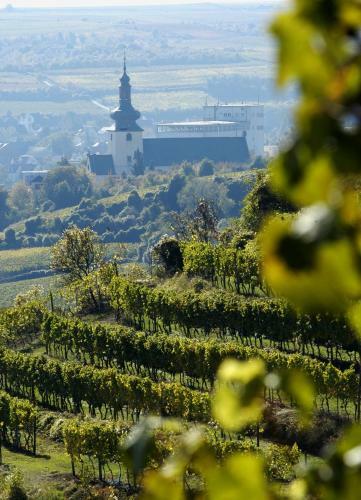 Best Western Wein- Und Parkhotel