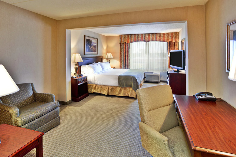 Holiday Inn Hotel  Suites Ann Arbor Univ. Mic