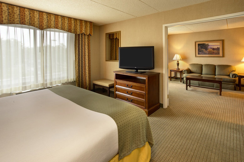 Holiday Inn Hotel  Suites Ann Arbor Univ. Mic