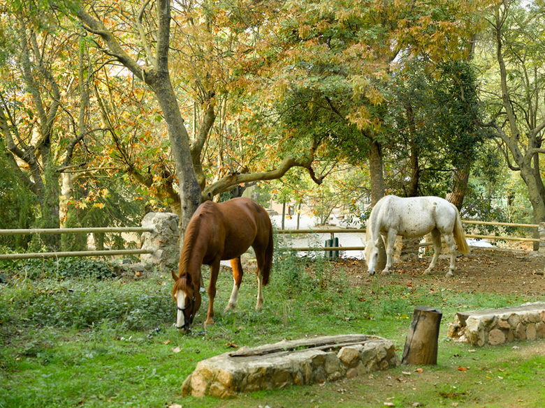 Hotel Rural Y Apartamentos Villa Engracia