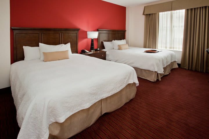 Hotel Hampton Inn & Suites Atlanta-downtown
