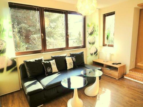 Apartamento Ferienwohnung-ginkgo-ii-dresden