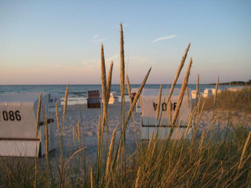 Apartamento Florida Haus Am Strand