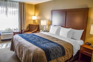 Hotel Comfort Inn